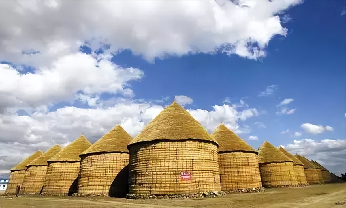 大米防生虫的最佳方法,大米防止生虫的七个方法