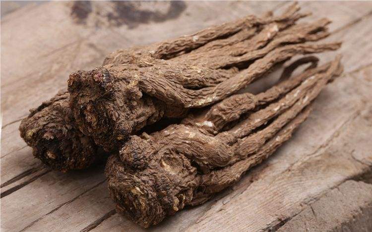 无需手术！张仲景有张名方，活血化瘀，化解子宫腺肌症病灶