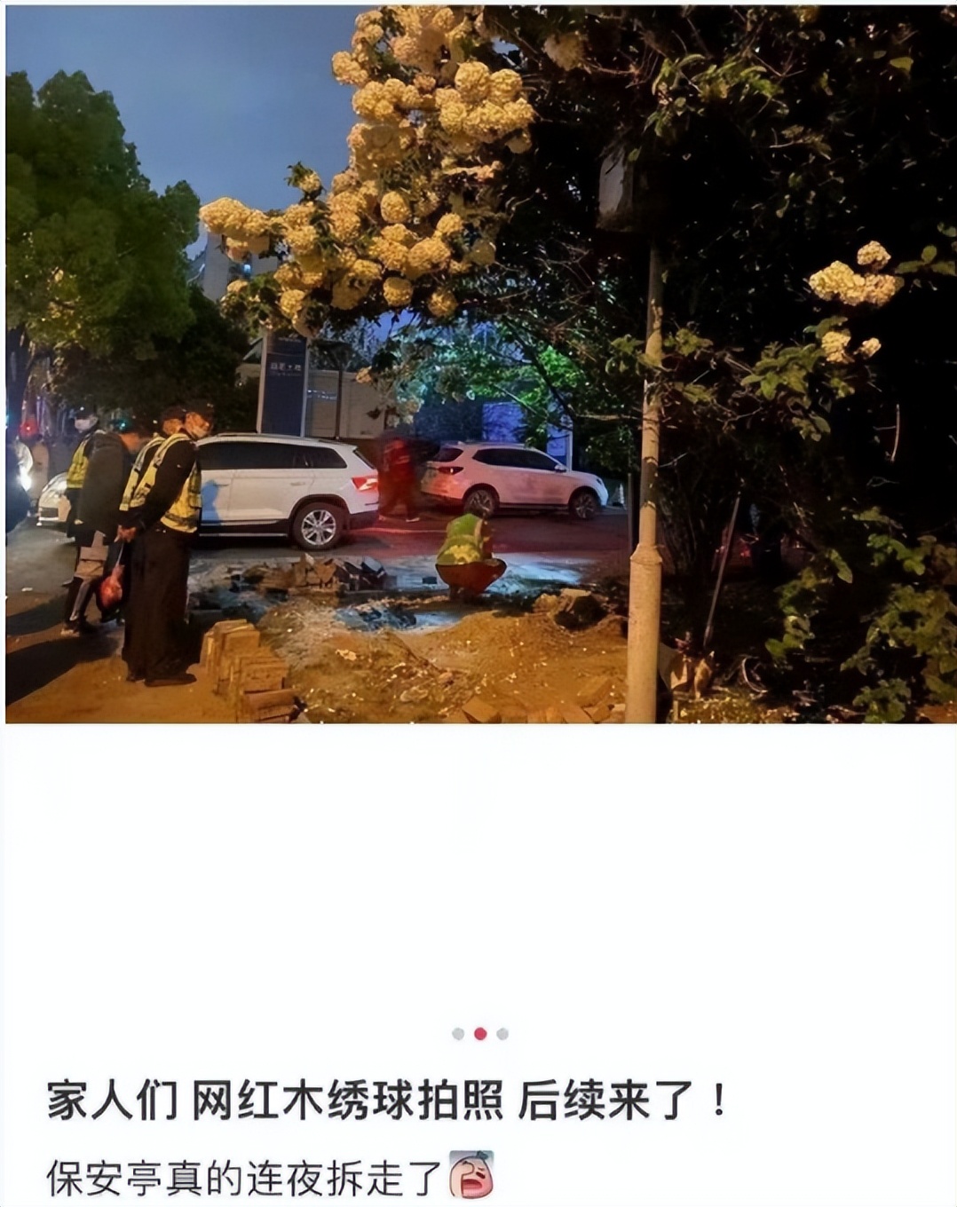 离谱到全网开骂的“玫瑰冰淇淋”事件:新型智商税,又来祸害人了