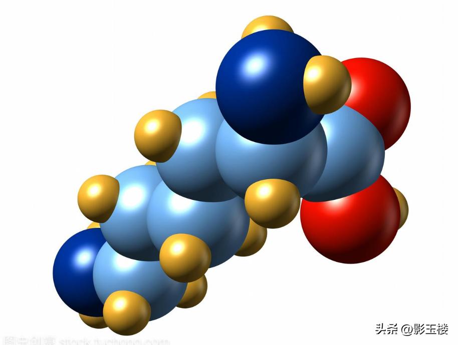 菠萝蜜种子效用,菠萝蜜种子煮熟的功效