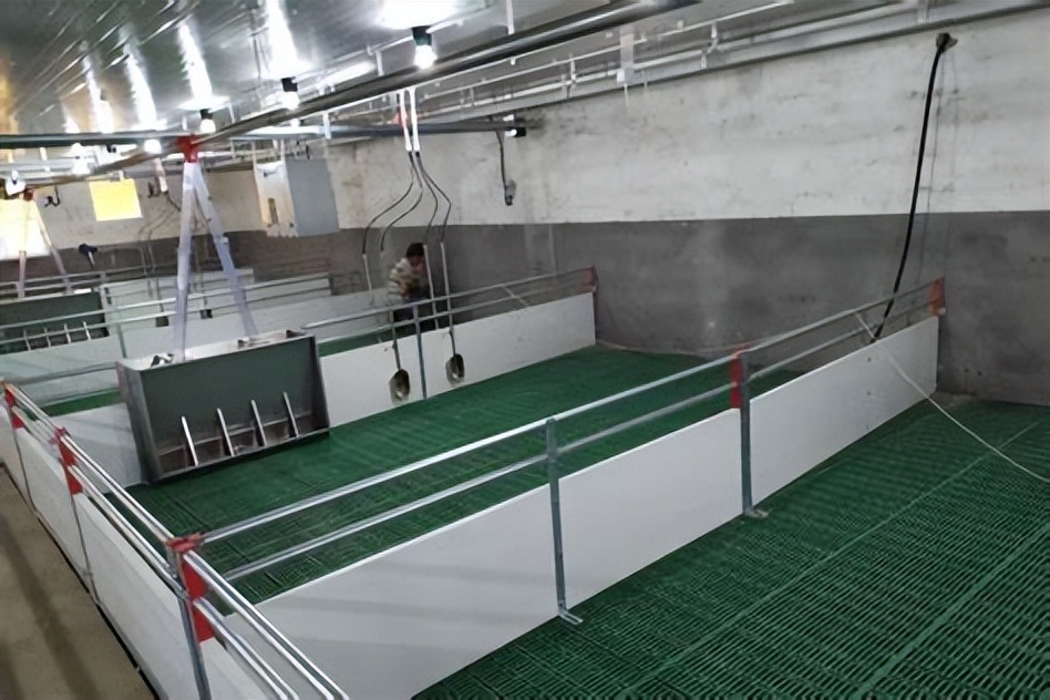 不同阶段猪群采食系数,猪群结构和猪栏配置