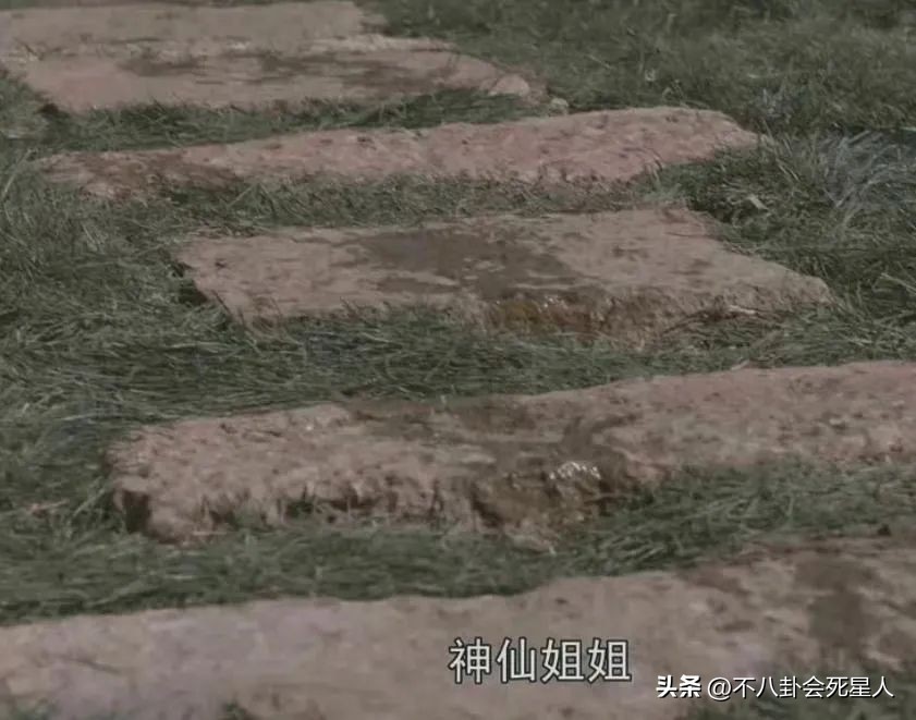 十部极度狗血的电视剧,10部哭到崩溃的电视剧推荐