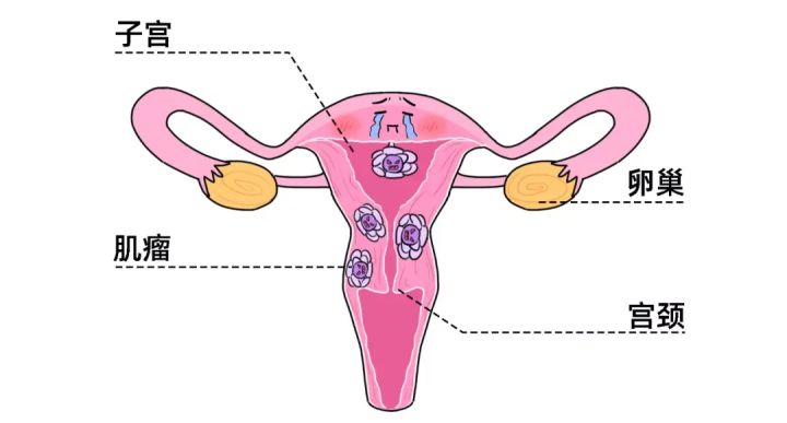 90后投保哪款保险比较适宜,可以带病投保的保险推荐