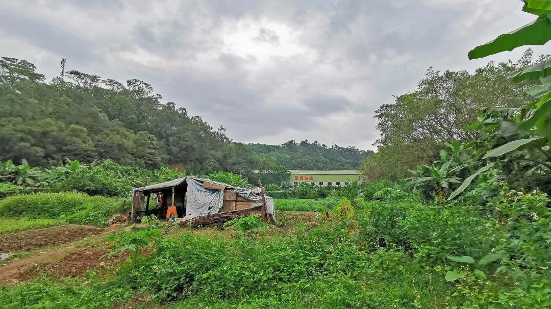 江门市有几个儿童公园呀,广东江门儿童公园梦乐园