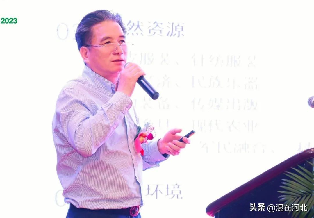 2024肃宁电商博览会,肃宁电商博览会现场