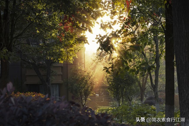 豪门保姆597,她做保姆的这些年豪门生活之十四