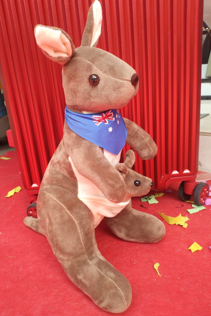 四川丹棱：今天我要给妈妈送一只袋鼠