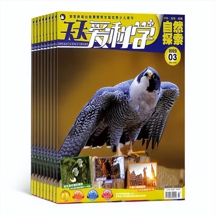 小学生暑假必读分级课外书目录,2024年寒假小学生必读书目