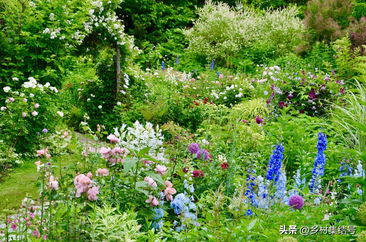 北海道上野农场,日本北海道上野农场