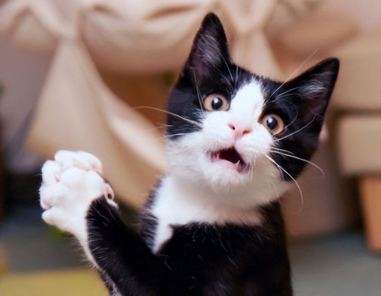 百元之间好酱酒,百元以下有好的酱酒吗