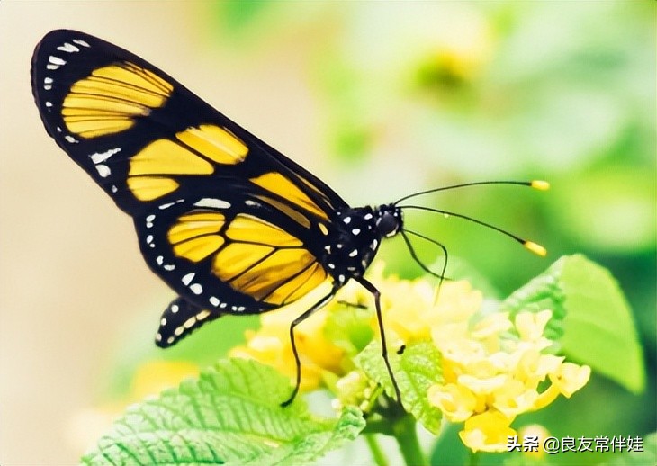 一年级期末考试干货,一年级下册语文期末复习必考