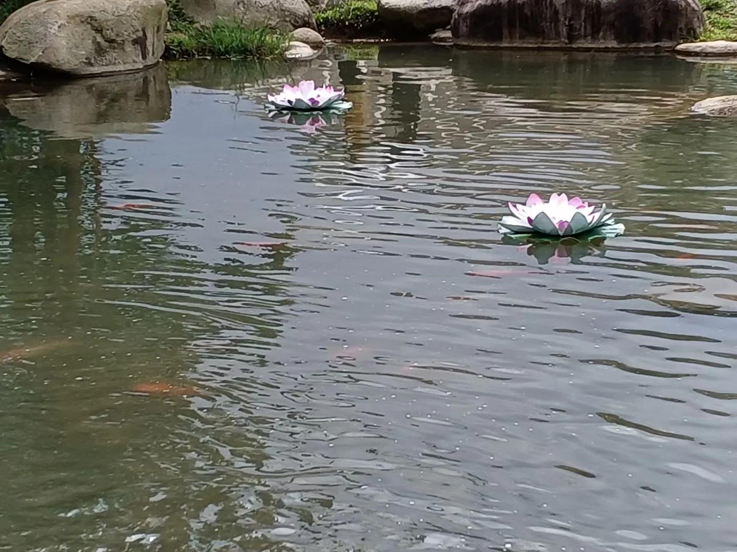 白云湖公园一日游推荐,香山公园附近一日游