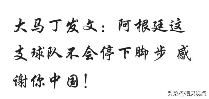 球迷冲入球场拥抱梅西被行拘点评,冲进球场拥抱梅西的道歉视频