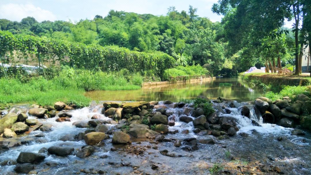 广东最值得推荐的温泉度假村,广东第一峰温泉是真温泉
