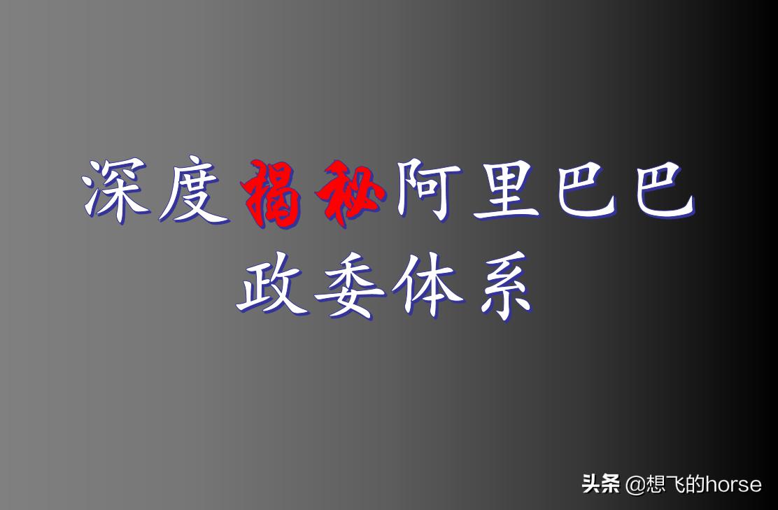 阿里巴巴政委是怎么来的,阿里巴巴政委体系读后感