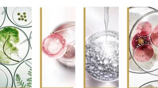 肌救宝美白精华液祛斑是真的吗,肌救宝美白祛斑精华液打假测评