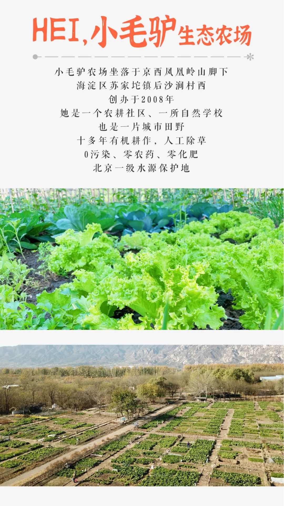 小毛驴农场,小毛驴农业园