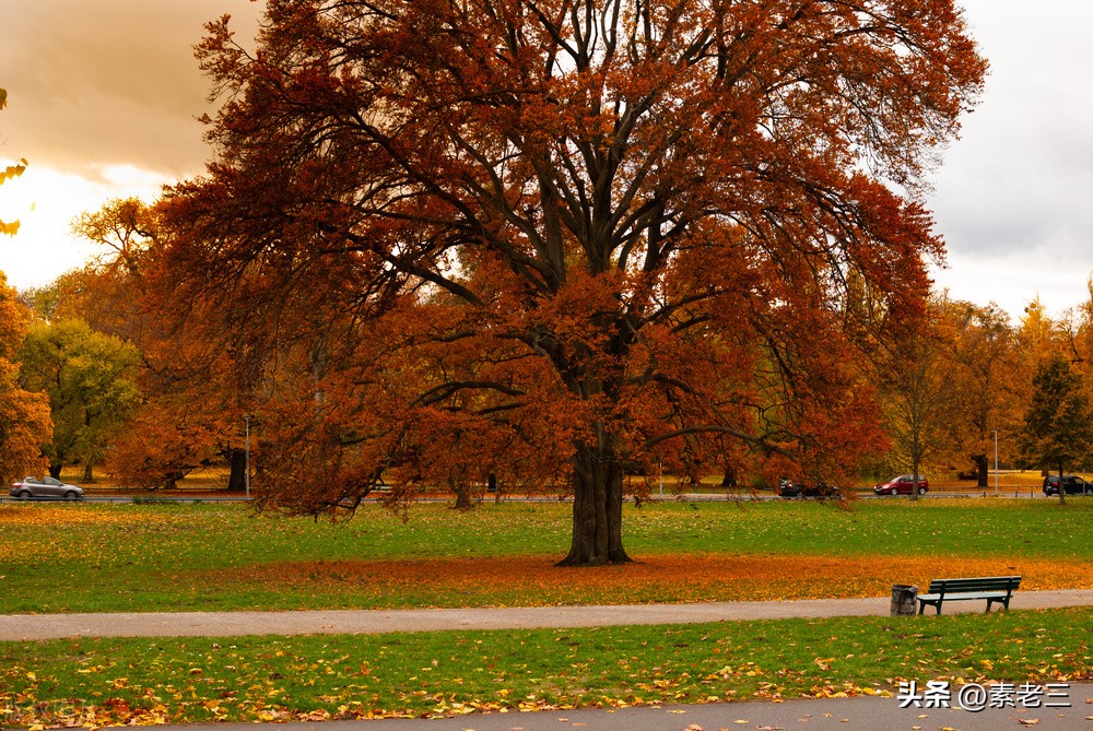 女作家去做保姆和雇主过招,女作家去做保姆982集