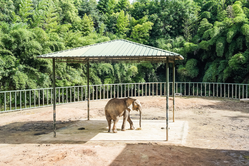 安吉中南百草园二天一夜攻略,安吉中南百草原刺激游乐项目
