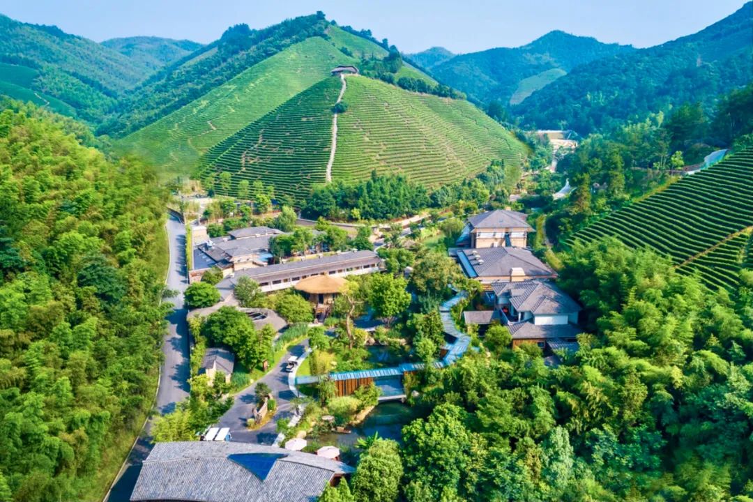 安吉旅游度假,安吉好玩还是千岛湖好玩