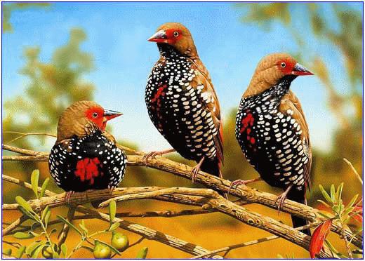 原创诗词七律夏之韵,原创诗词七律六月