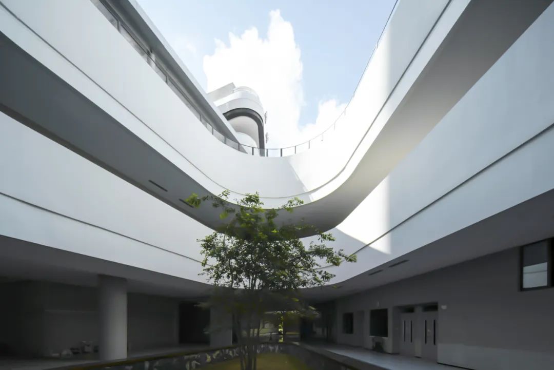 深圳格致中学游园会,深圳市格致中学理念