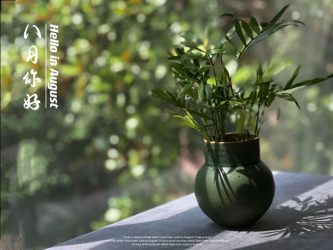 从网上买茶叶靠谱吗,在网上买茶叶靠谱吗