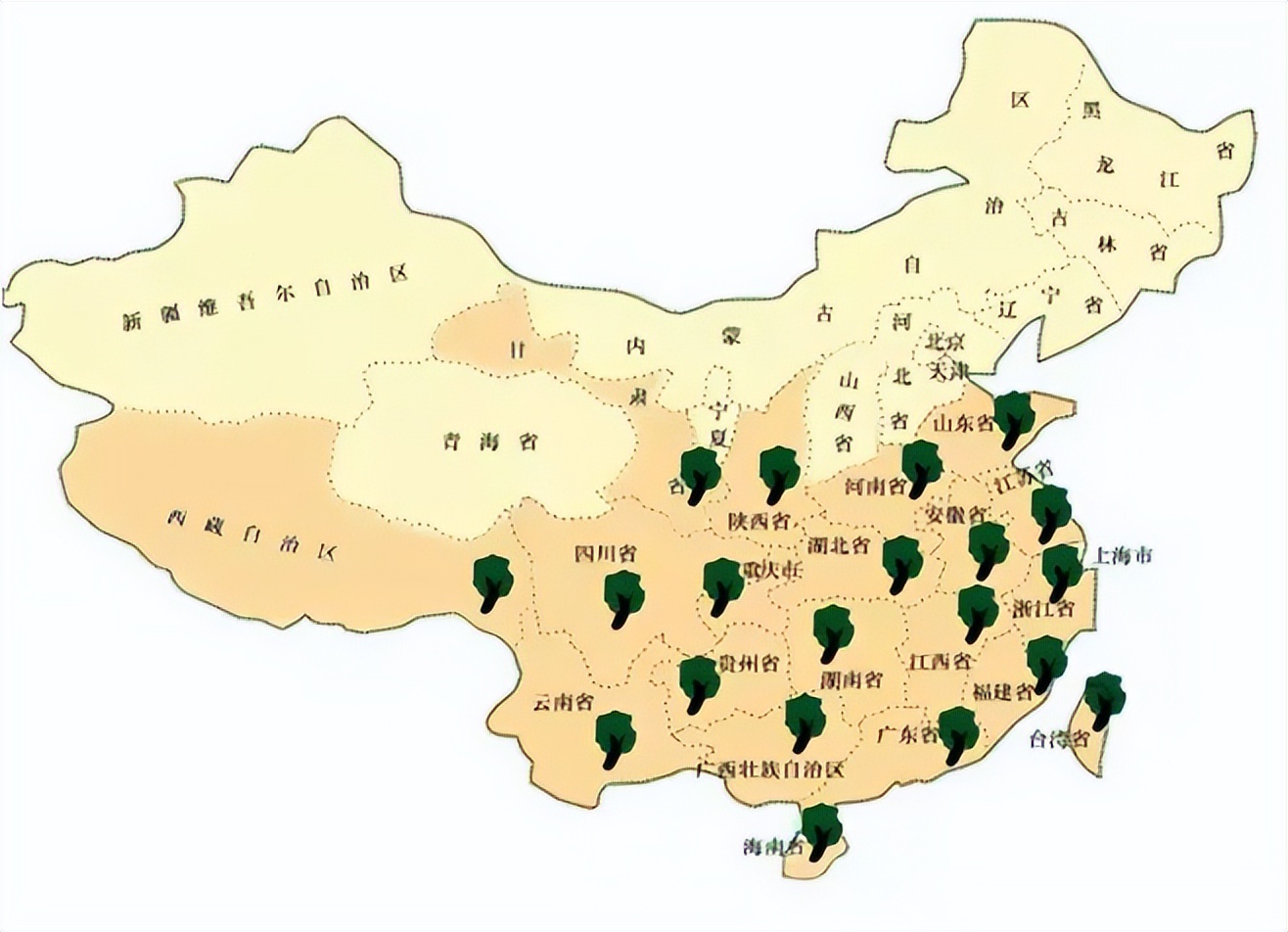 茶叶种类大全大红袍,茶叶的种类口感介绍