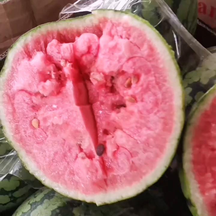 姚松果蔬批发,玉溪姚松水果批发