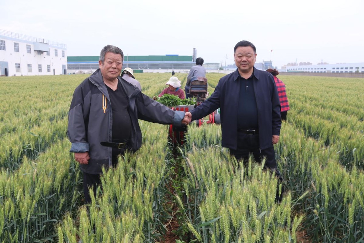 荣莉莱农业技术服务,河南荣莉莱商贸有限公司