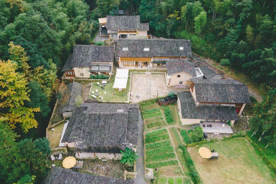 在温过大年！这几条“百县千碗”美食体验线路真的好吃又好玩