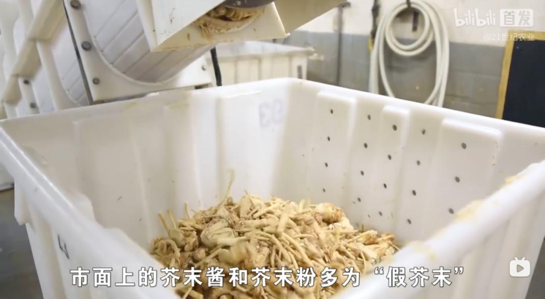 我们吃的芥末不是真正的芥末吗,芥末太辣了真的吗