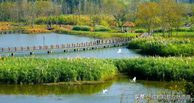 最美成都公园排名,成都最美的公园浣花溪翻修完成