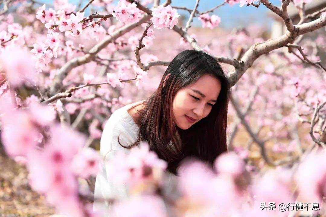 万种风情的诗七绝,十首最美春风诗句