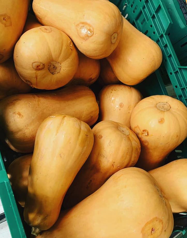 长得丑被抛弃,长得丑被人抛弃