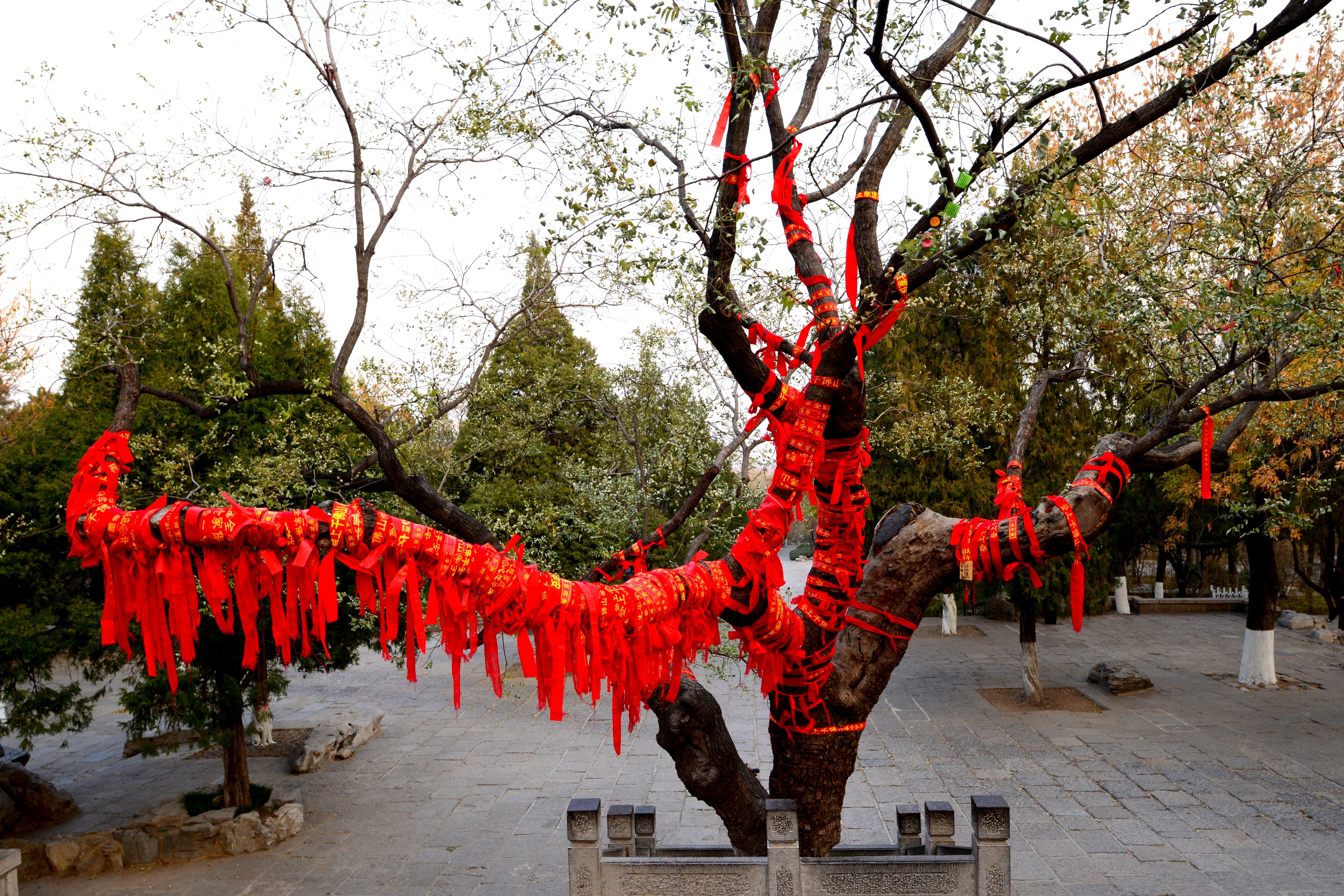 千佛山是济南三大名胜,济南三大景点千佛山