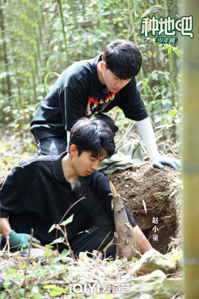 《种地吧》赵小童挖笋喜获“笋王”全员卖笋笑料不断