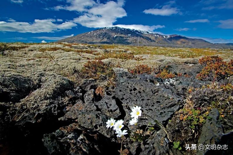 鍖楁瀬鐩綍,鍖楁瀬瑙ｆ瀽