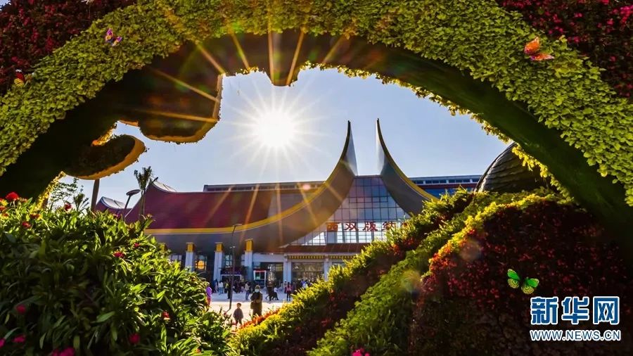 开通抖音一百天,中老铁路开通100天成绩很亮眼