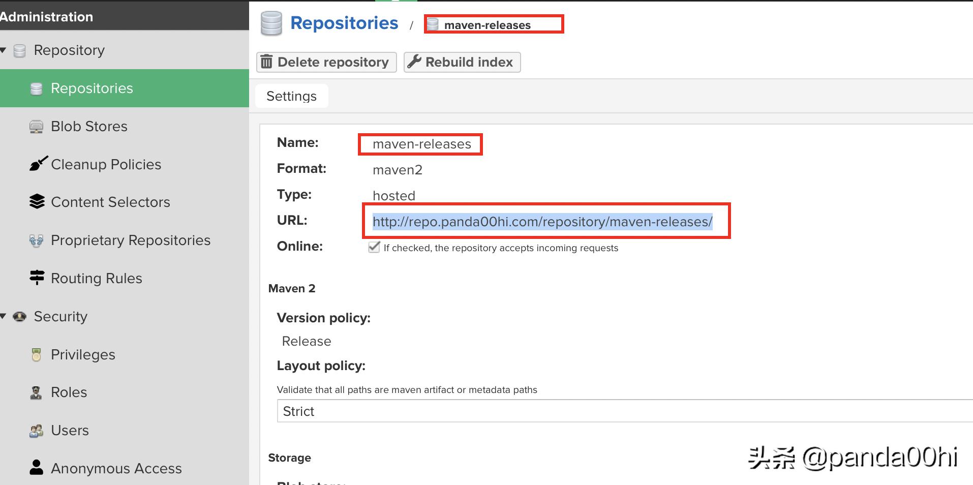 nexus鎼缓,nexus绉佹湇鎬庝箞鎼缓