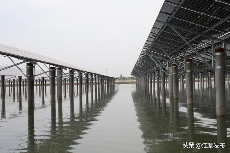 扬州太阳能光伏电站投资,江都区武坚镇渔光互补光伏