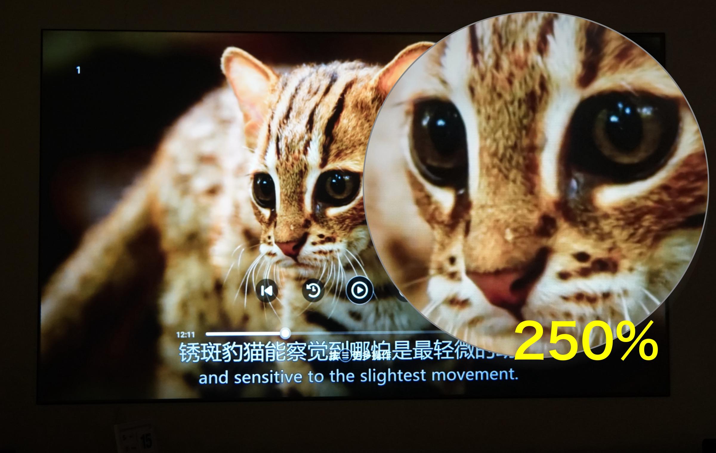 知麻z1pro投影仪测评,知麻z1投影仪测评