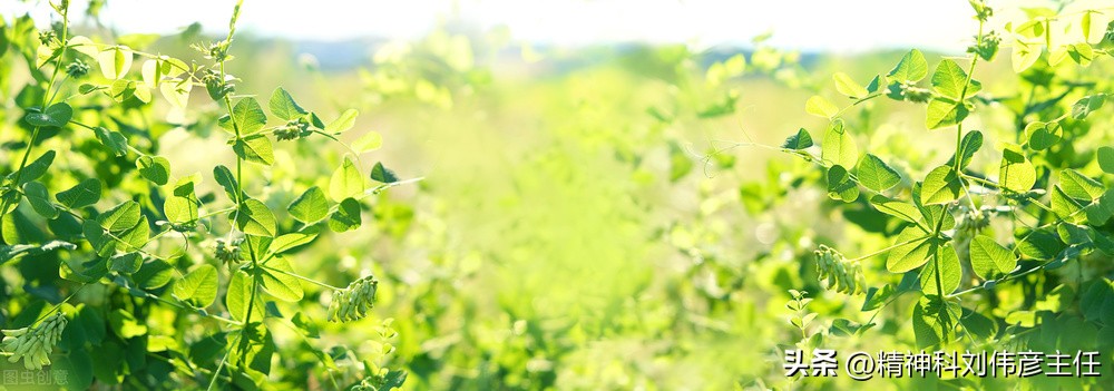 吃抗抑郁的药精神错乱怎么办,精神抑郁与焦虑吃什么药