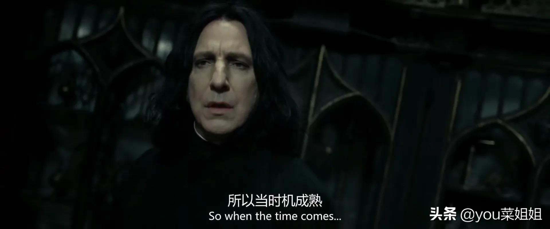 哈利波特众人看斯内普的一生,哈利波特最后和斯内普说什么