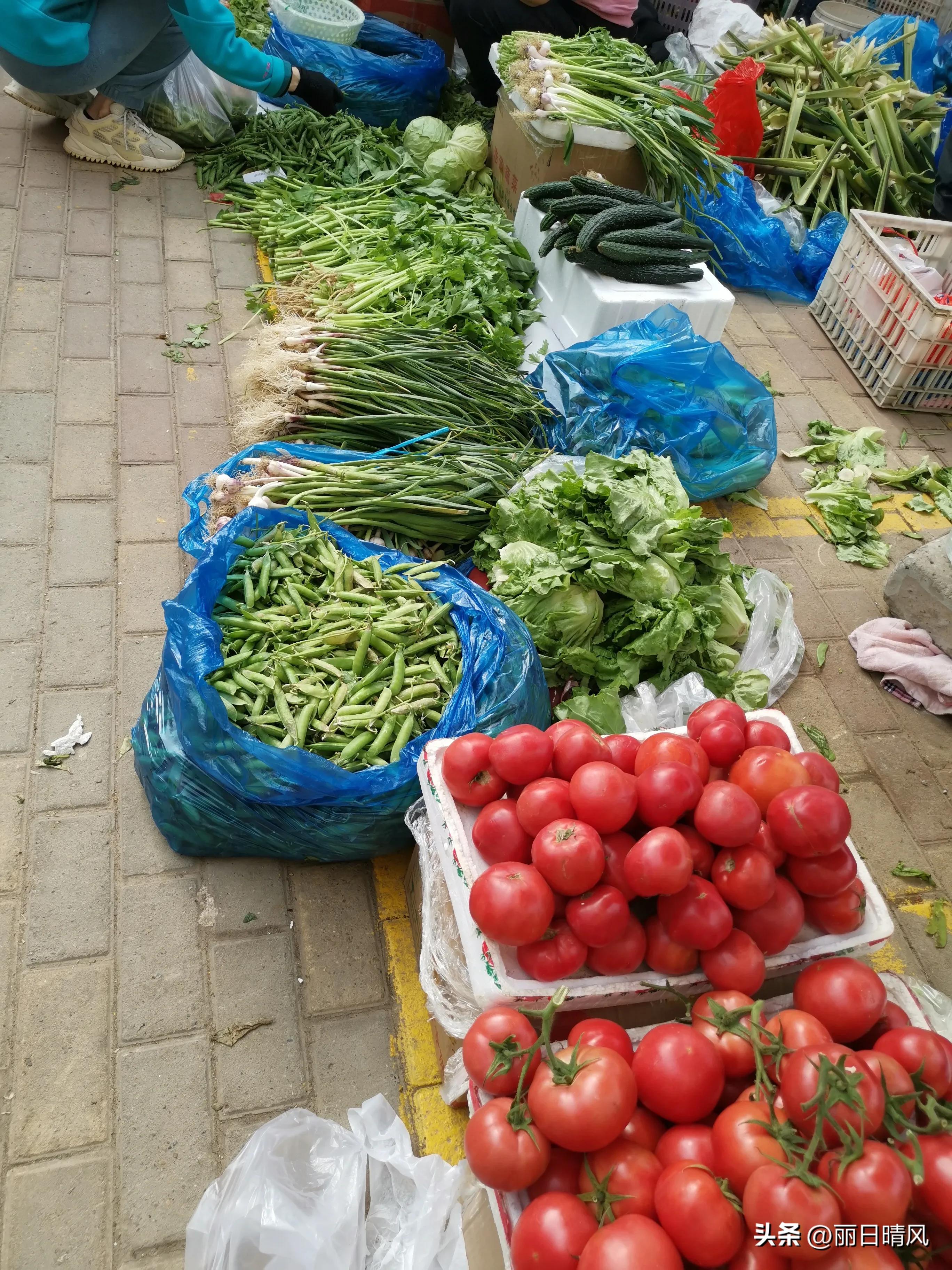 我的退休慢生活,我的退休生活该何去何从