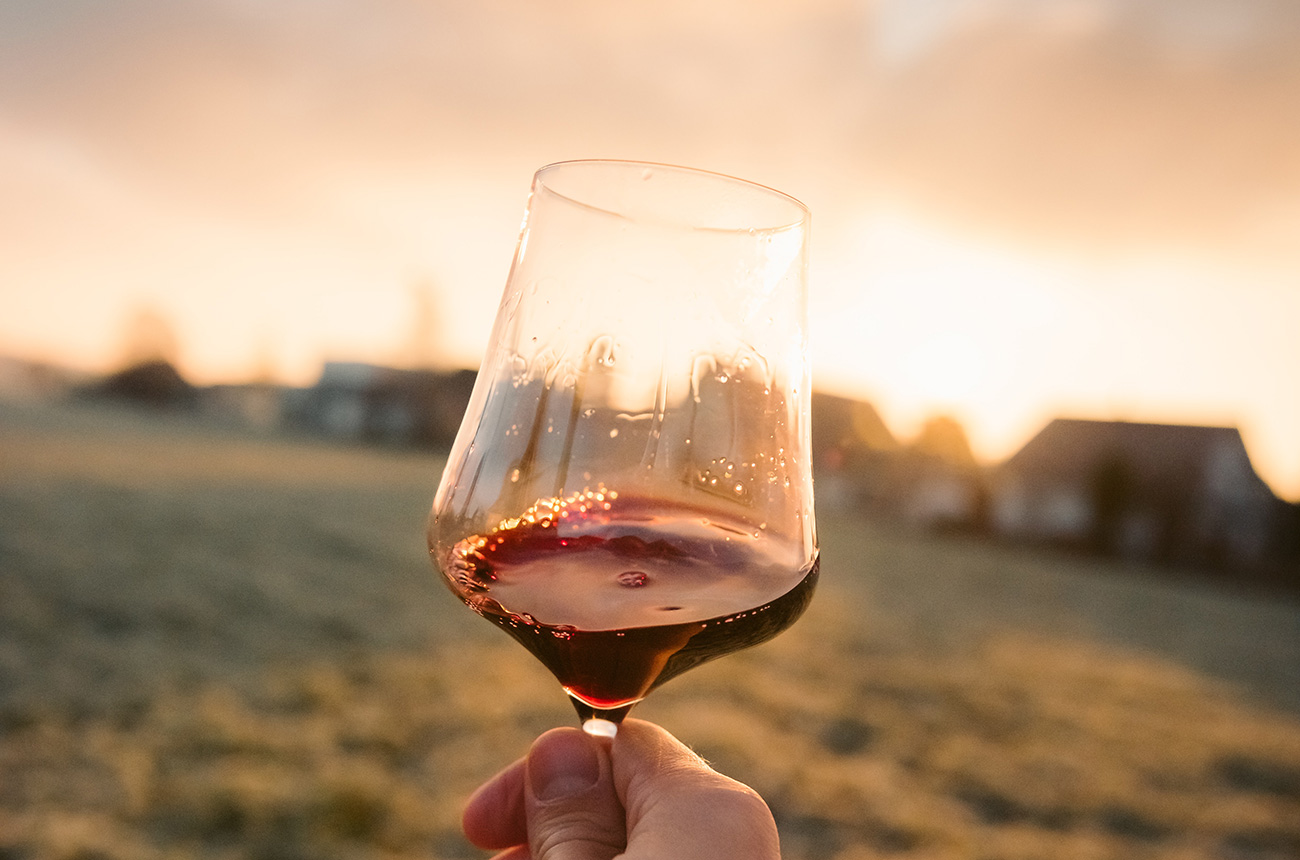 一分钟看懂葡萄酒知识,黑皮诺葡萄酒750价格