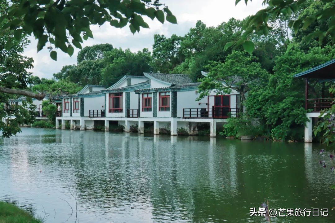 万绿湖鱼肉火锅,广东万绿湖最深多少米