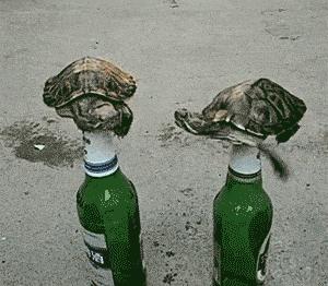 染了头发颜色不喜欢怎么办,染头发颜色不喜欢怎么办