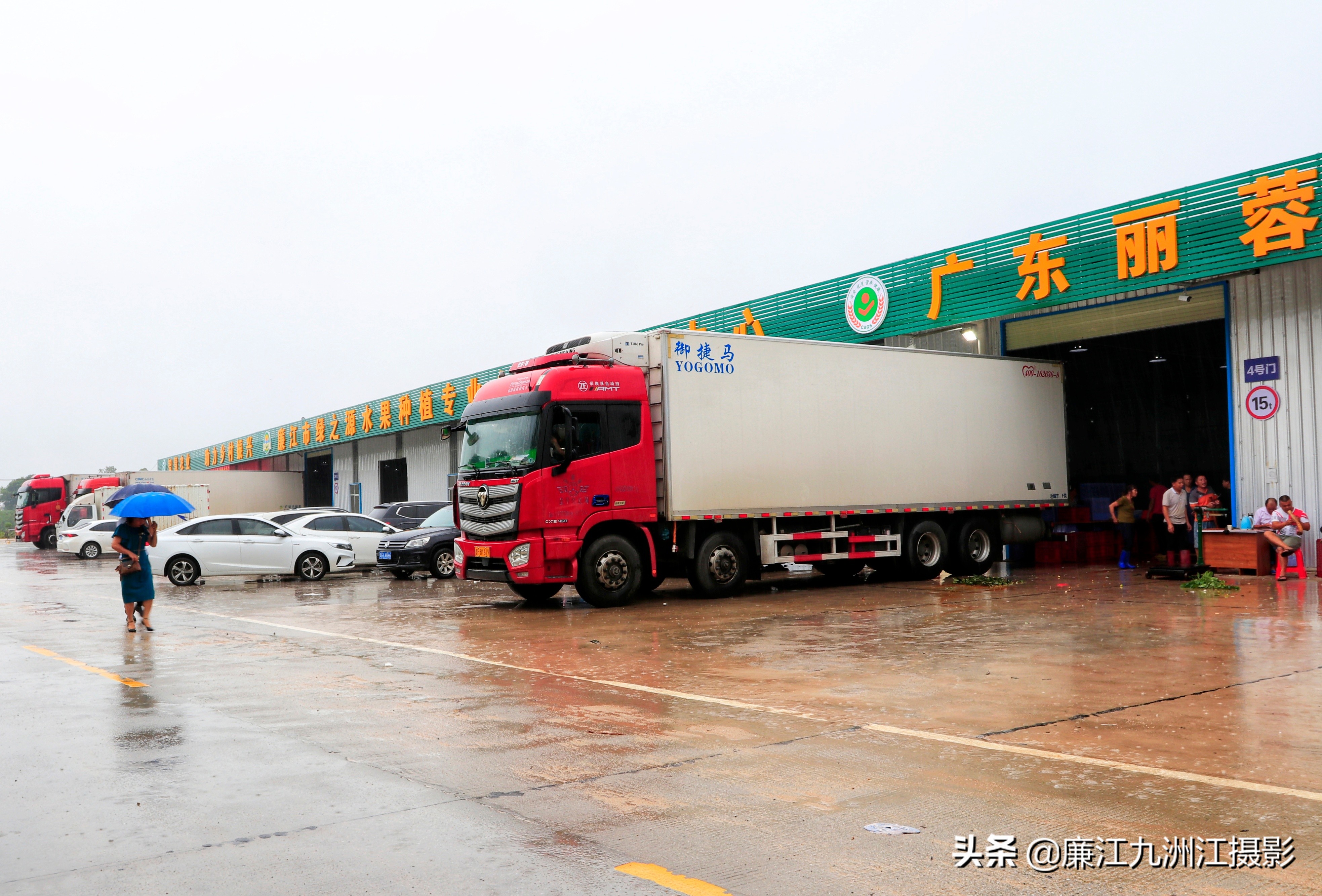 廉江吉水绿之源合作社,廉江市绿之渌分拣中心