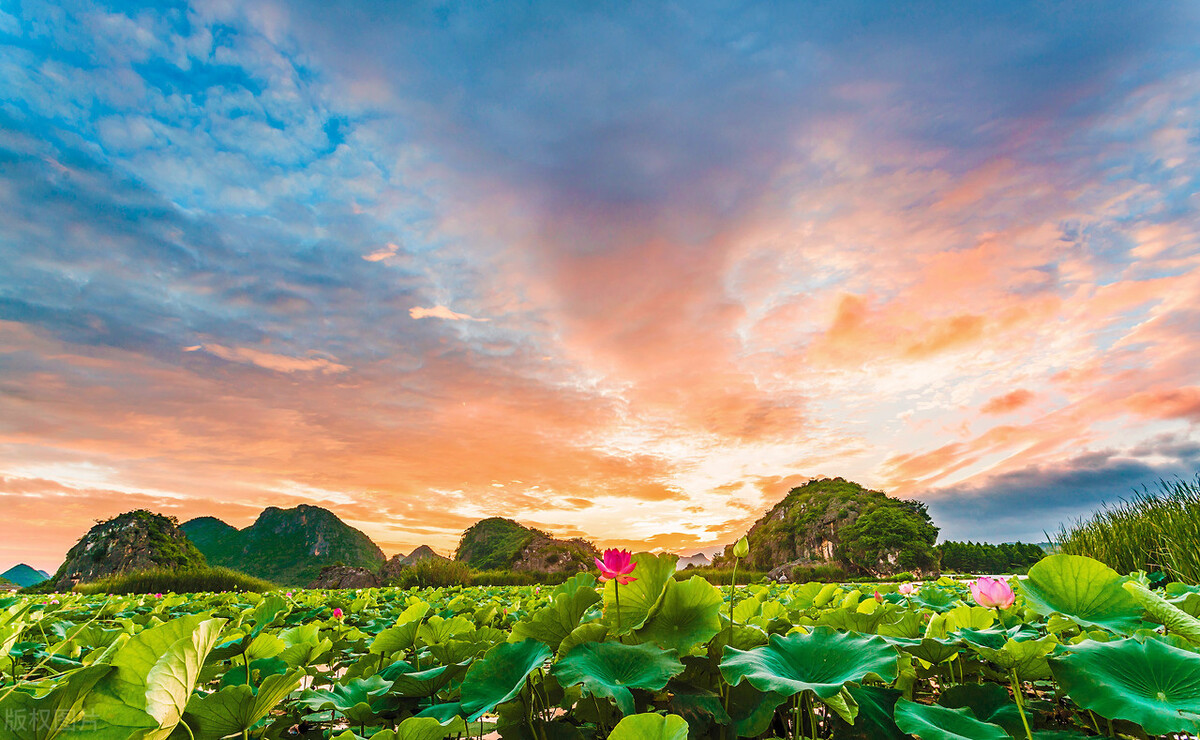 试管亲身经历全过程,试管孕妇移植56天要注意什么